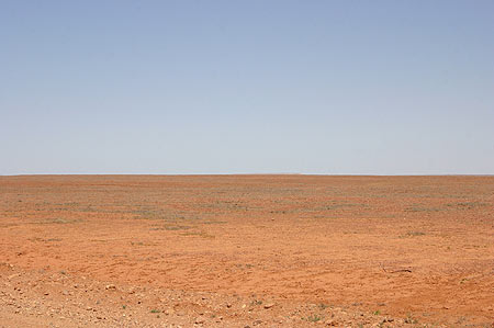 The Dry Spell- Videos? The Silly? Sharp Sticks?