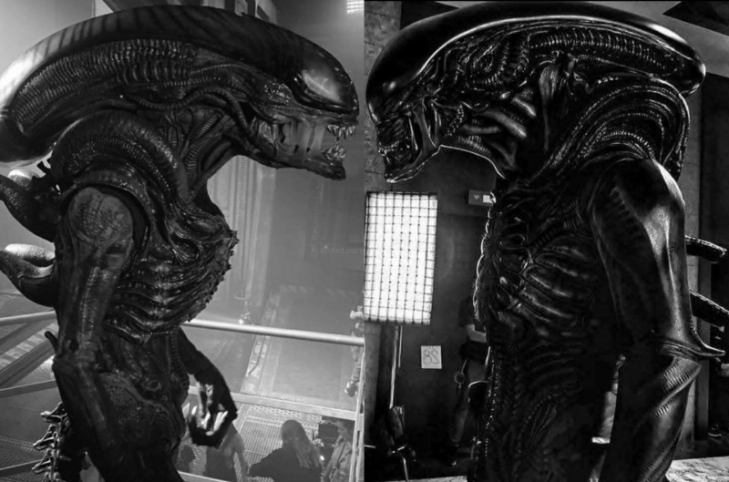Alien: Romulus vs. Alien: Earth Xenomorph suit design comparison