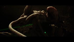 The Neomorph and the facehugger