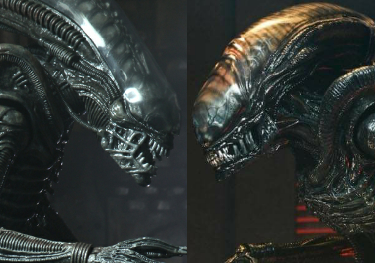 Big Chap vs. Scorched Xenomorph comparison