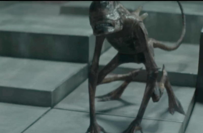 Episode 6 – The Fly Spoiler Discussion
