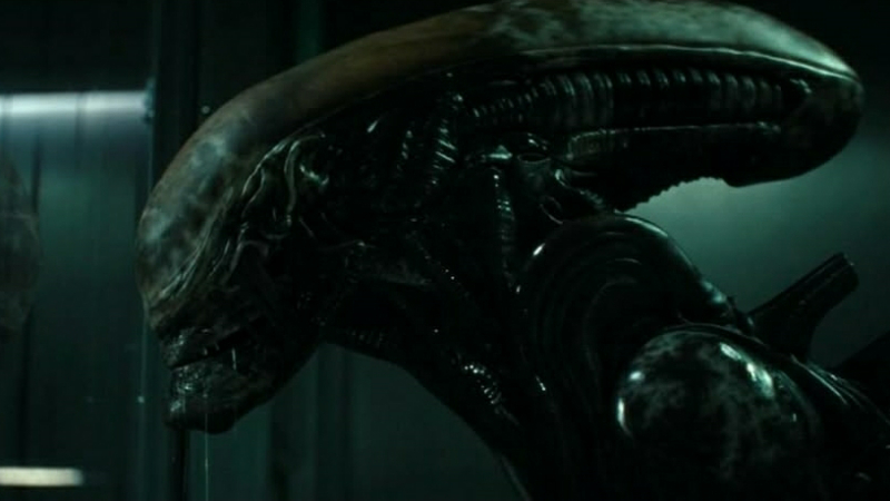 Final Verdict: What Alien fans thought of Alien: Earth Season 1