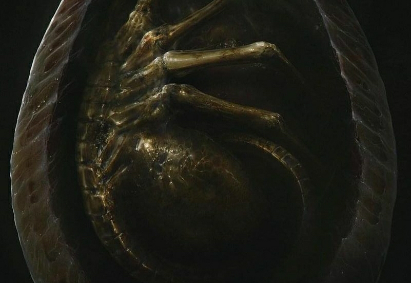 The concept artists of Alien: Romulus