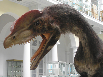 What is a Dinosaur?