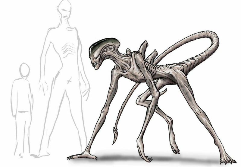 Design the Adult Offspring!