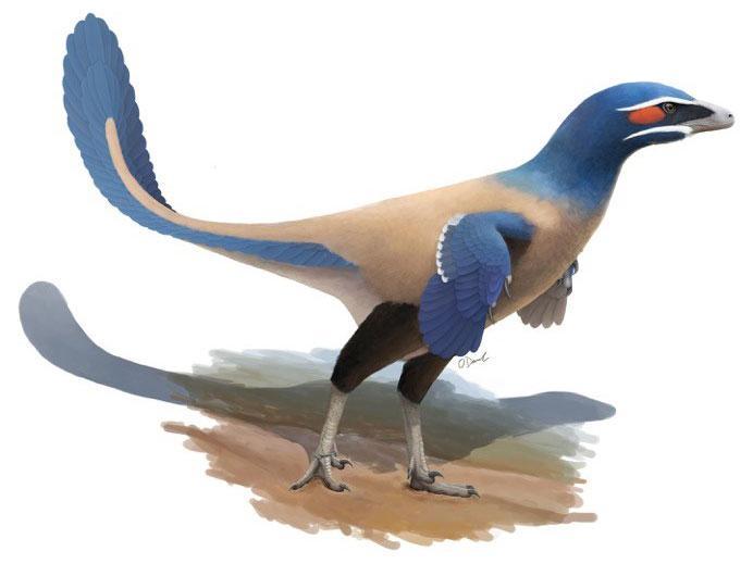 Dinosaur, which looked like a giant bird, discovered in Canada!