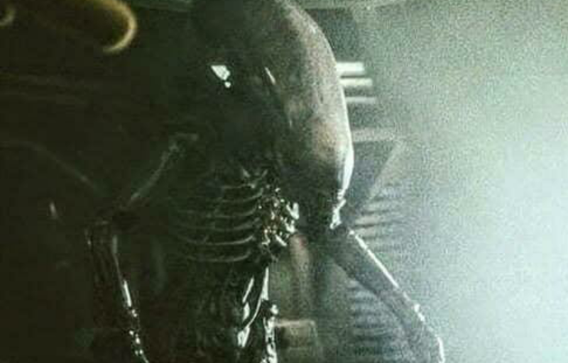 New Member? Introduce yourself & tell us what made you an Alien fan?
