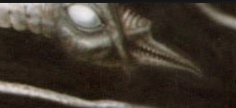 what came first, the lifeform or the goo?