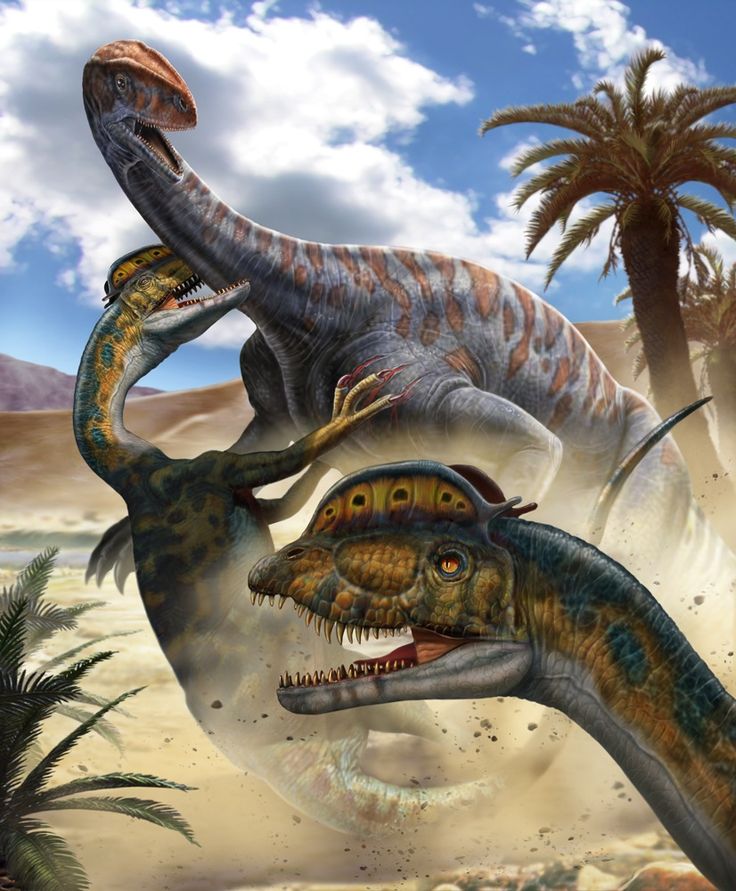 Daily life of a Dilophosaurus