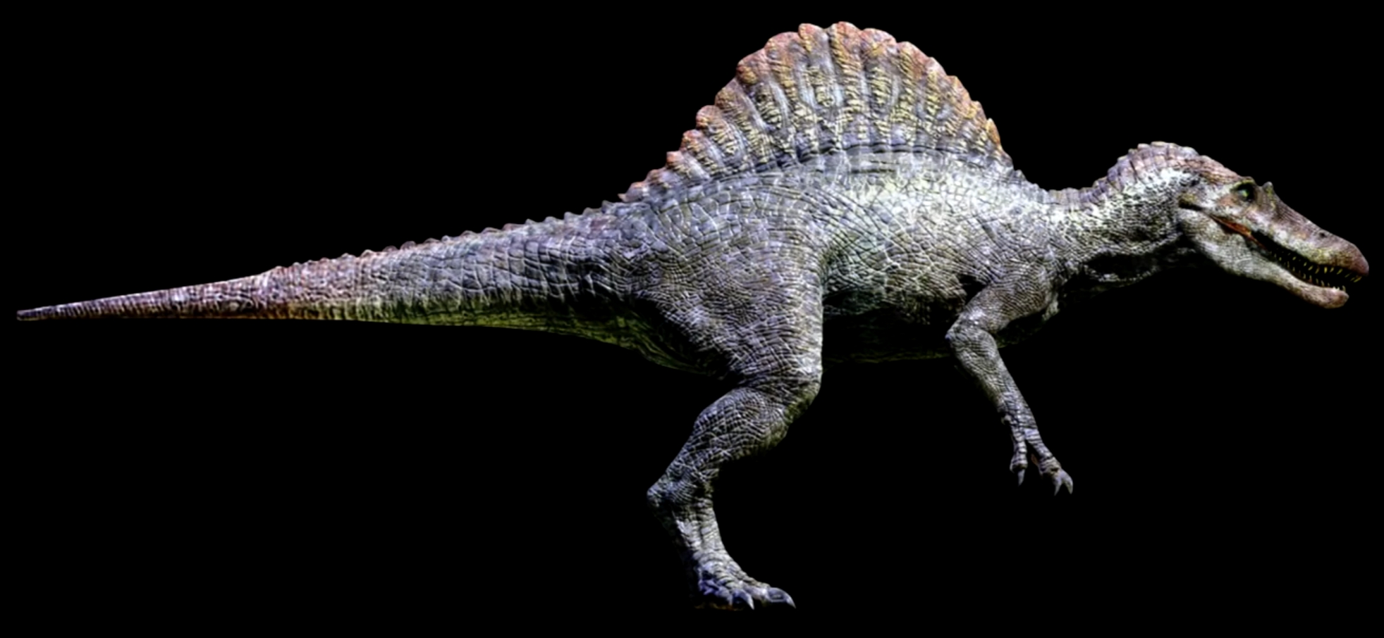Spinosaurus Vs Tarbosaurus - Jurassic Park Forum