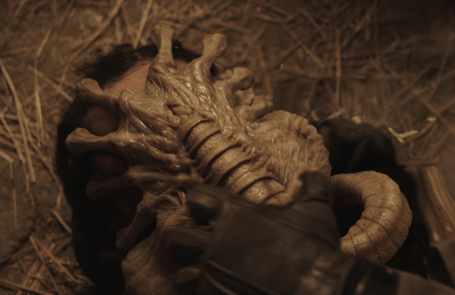 Alien Facehugger