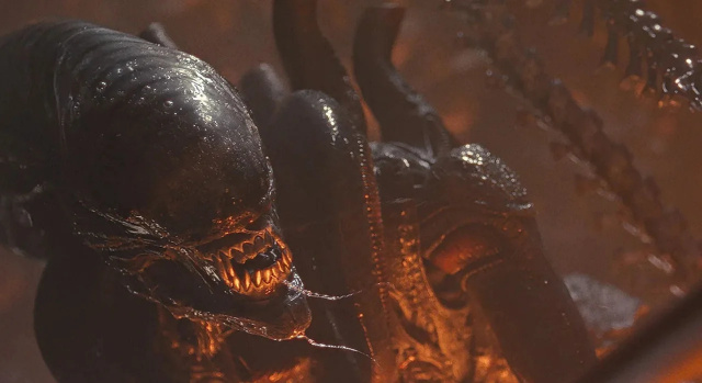 Adult Xenomorph