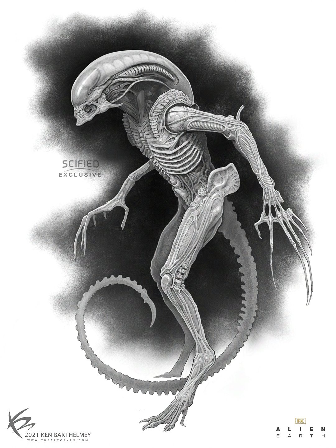 Official Alien: Earth Xenormoph concept