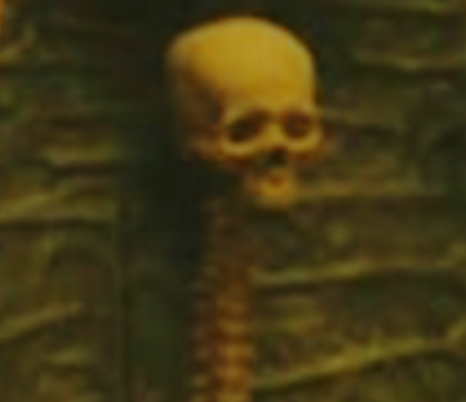 Human skull on Kwei's ship