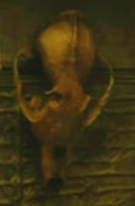 Unknown extraterrestrial skull