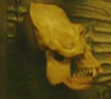 Super Gorilla skull in Badlands