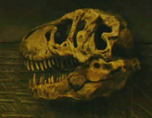 T-Rex skull on the Predator trophy wall in Badlands