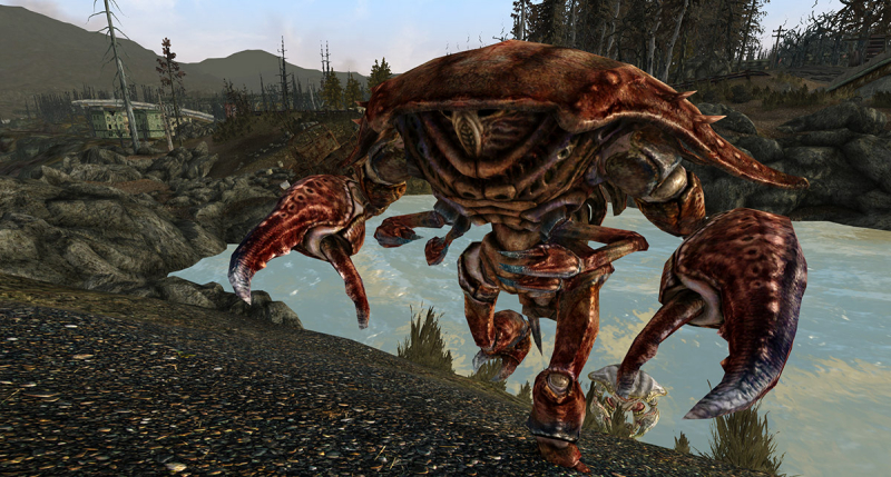Mirelurk in Fallout