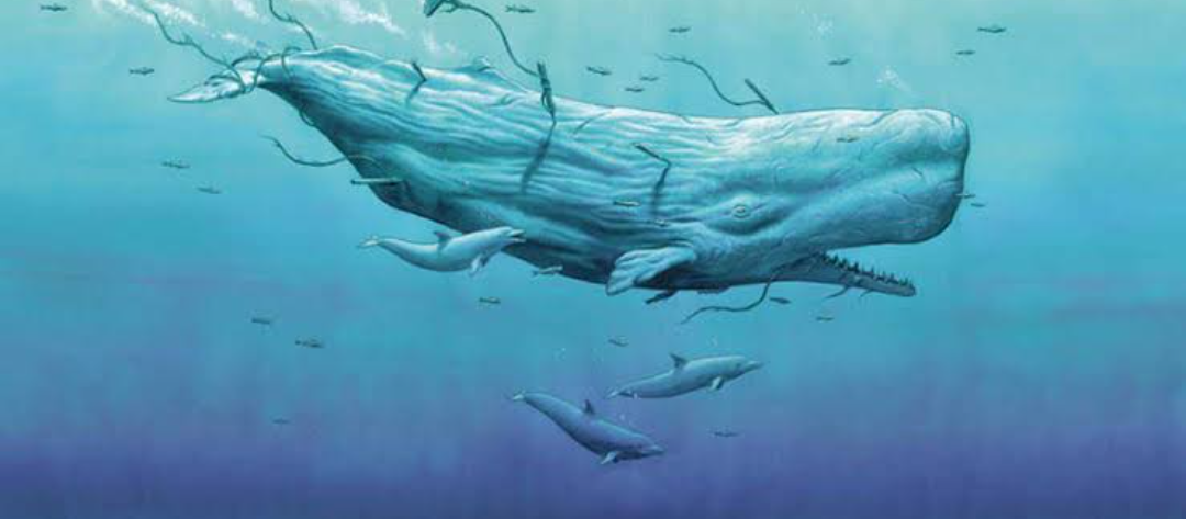 Megalodon Vs Moby Dick - Time Travel Discussions Forum