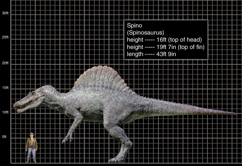 spinosaurus real size