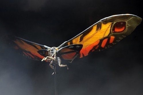 mothra 2019 toy