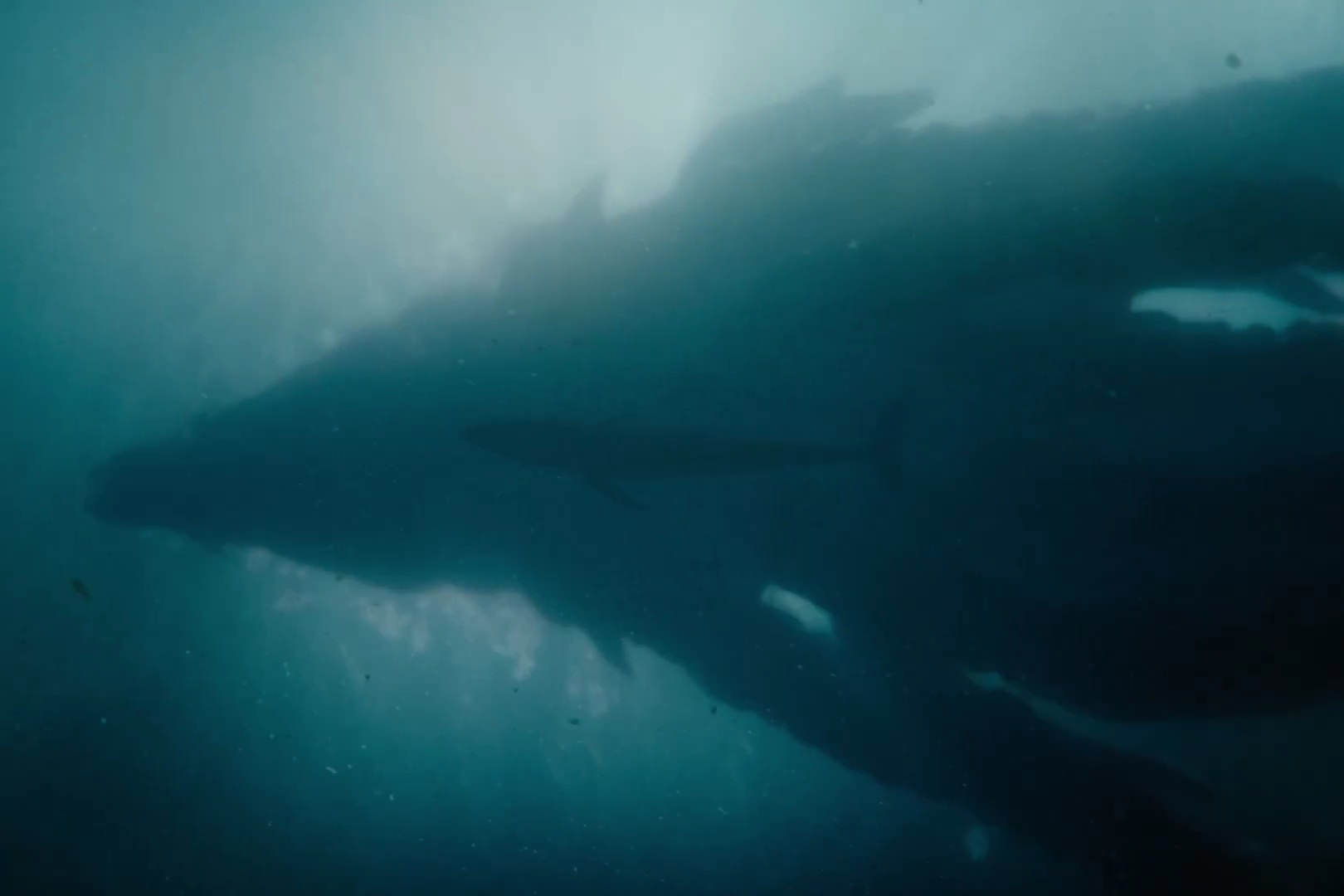 Image for Monarch: Legacy of Monsters Season 2 Trailer Analysis