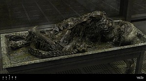 Image for Dead Xenomorph: A better look at the slain Alien from Season 1