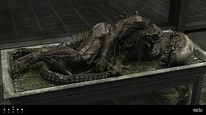 Image for Dead Xenomorph: A better look at the slain Alien from Season 1