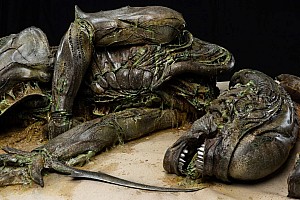 Decomposing Xenomorph in Alien: Earth