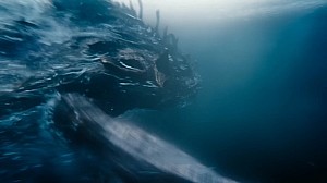 Image for New Titan X footage in latest Monarch: Legacy of Monsters S2 TV Spot!