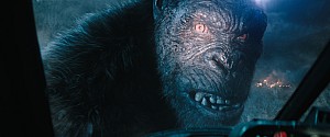 Kong in Monarch S2