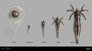 Image for Official concept art gives us a closer look at the Alien: Earth Tick specimens!