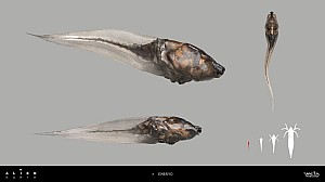 Image for Official concept art gives us a closer look at the Alien: Earth Tick specimens!